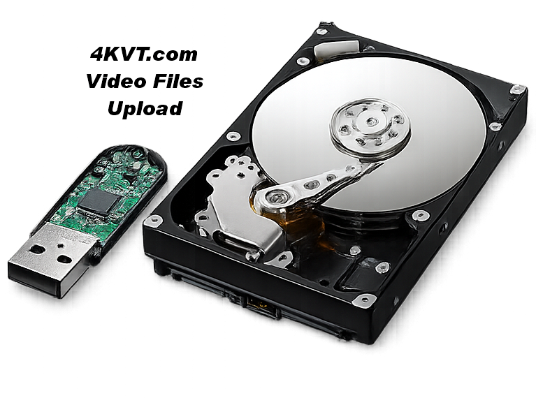 USB stick and hard drive cutaway